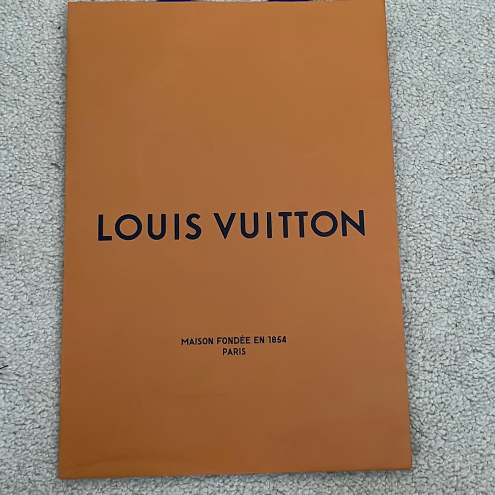 Louis Vuitton Store Bag - Store Bag - Paris - perfect for framing